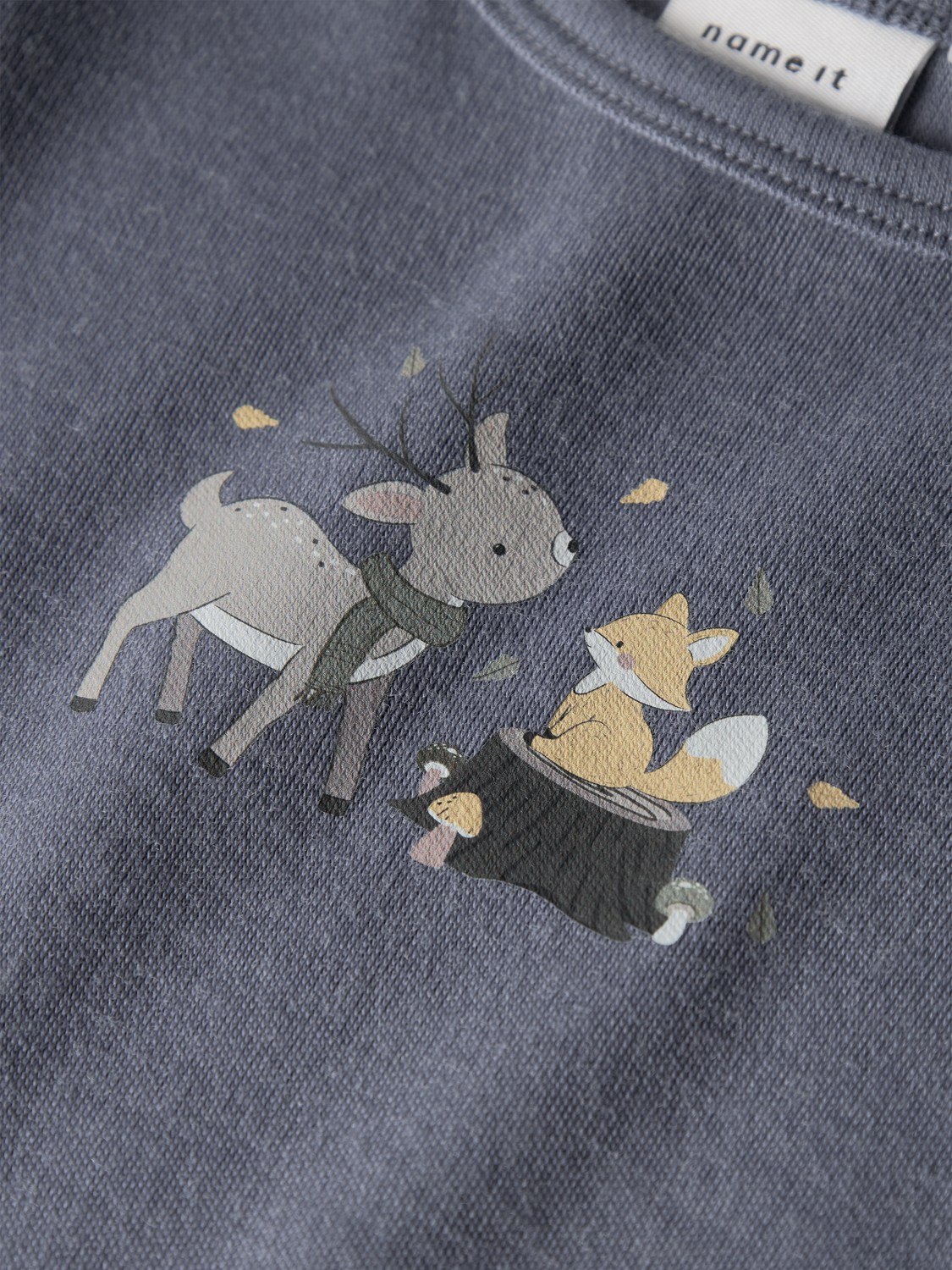 model_shot-front_full